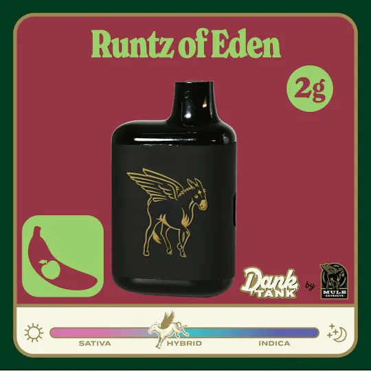Mule Extracts - Mule Extracts | Runtz of Eden | Dank Tank LR Disposable | 2g - 1