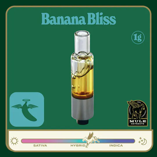 Mule Extracts - Mule Extracts | Banana Bliss | Live Resin Glass Cartridge | 1g - 1