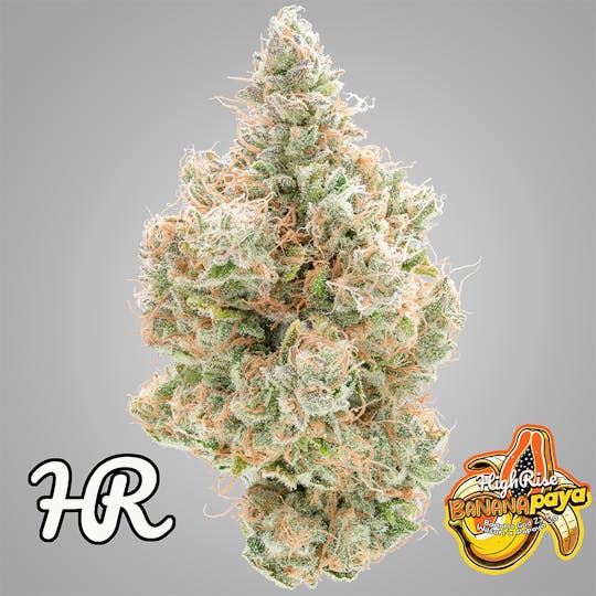 High Rise - Banana Papaya | High Rise Cannabis - 1