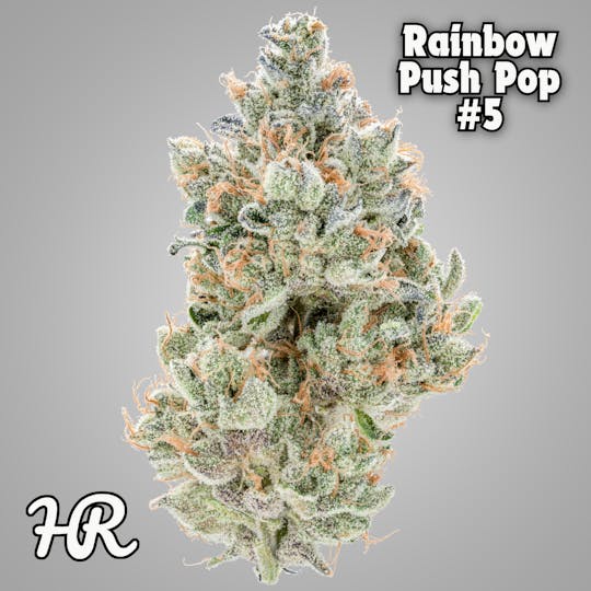High Rise - Rainbow Push Pop 3.5g Jar | High Rise Cannabis - 1