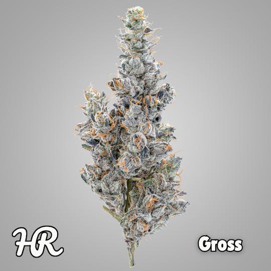 High Rise - Gross | High Rise Cannabis - 1