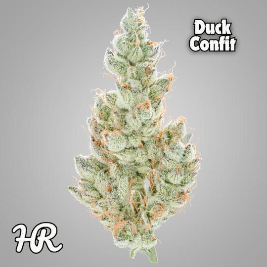 High Rise - Duck Confit 3.5g Jar | High Rise Cannabis - 1