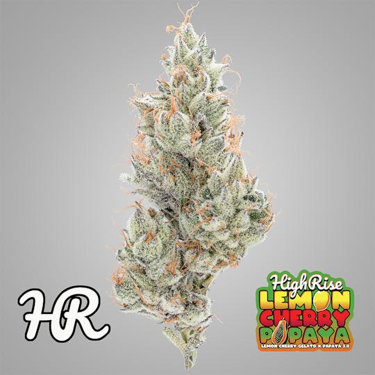 High Rise - Lemon Cherry Papaya | High Rise Cannabis - 1