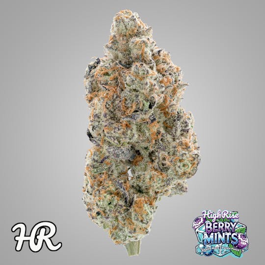 High Rise - Berry Mints | High Rise Cannabis - 1