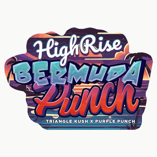High Rise - Bermuda Punch | High Rise Cannabis - 1
