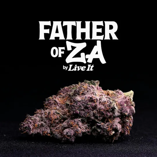 Live It - LIVE IT | FATHER OF ZA | BIG BUDS - 1