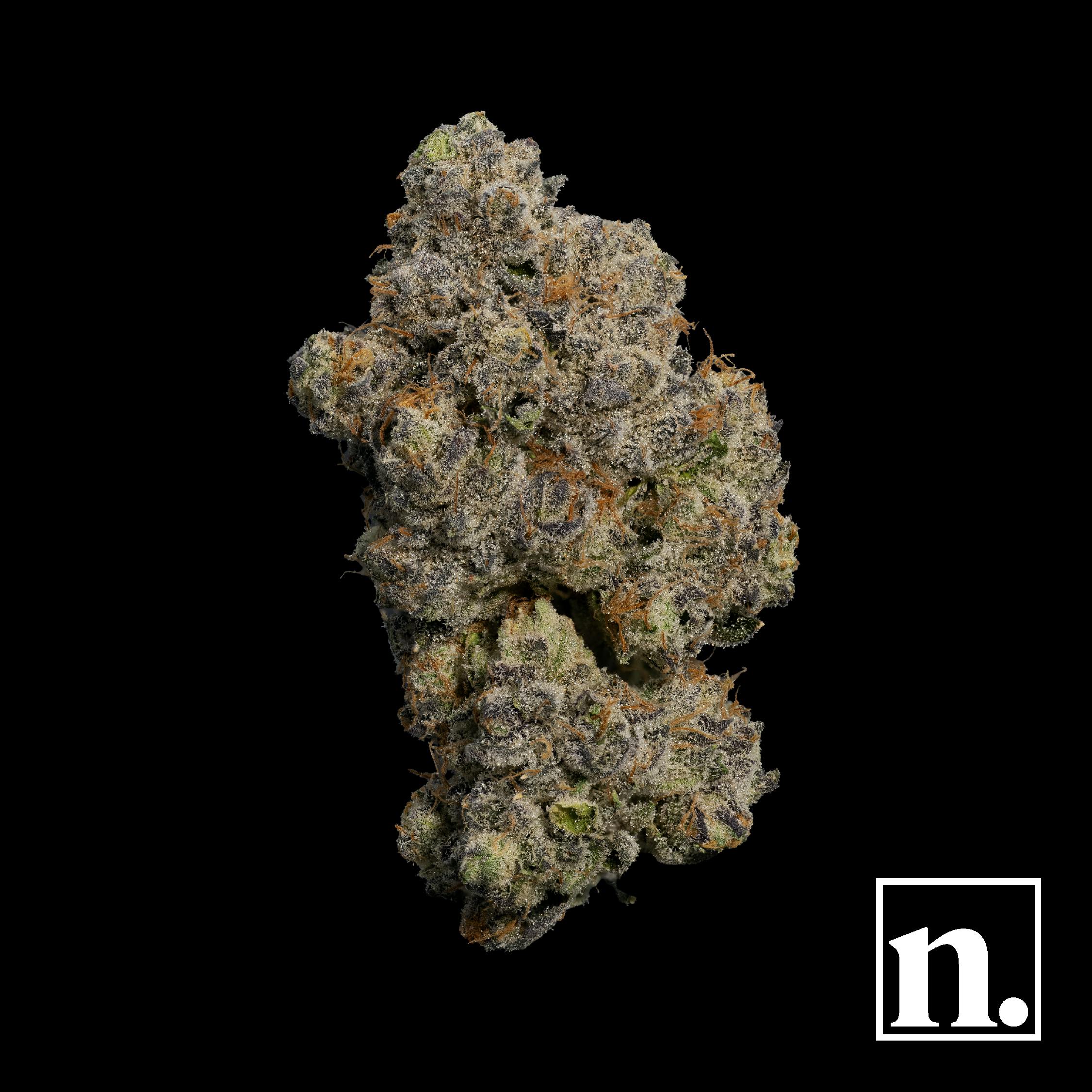 Niche - Animal Tsunami | 3.5 g - 1