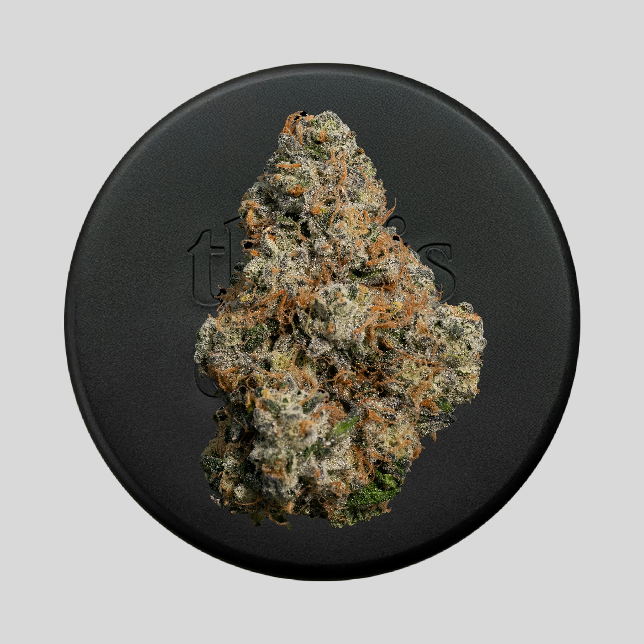 Niche - Black Maple 22 | 3.5 g - 1