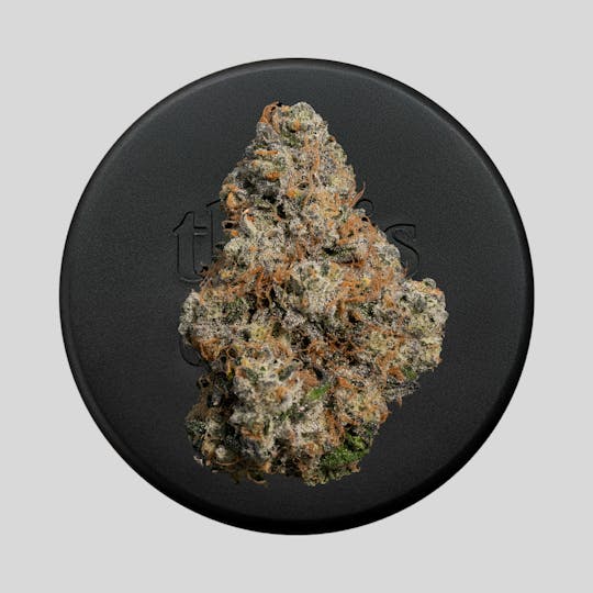 Niche - Black Maple 22 | 3.5 g - 1