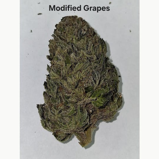 Greenway Farm - Modified Grapes Flower - 1