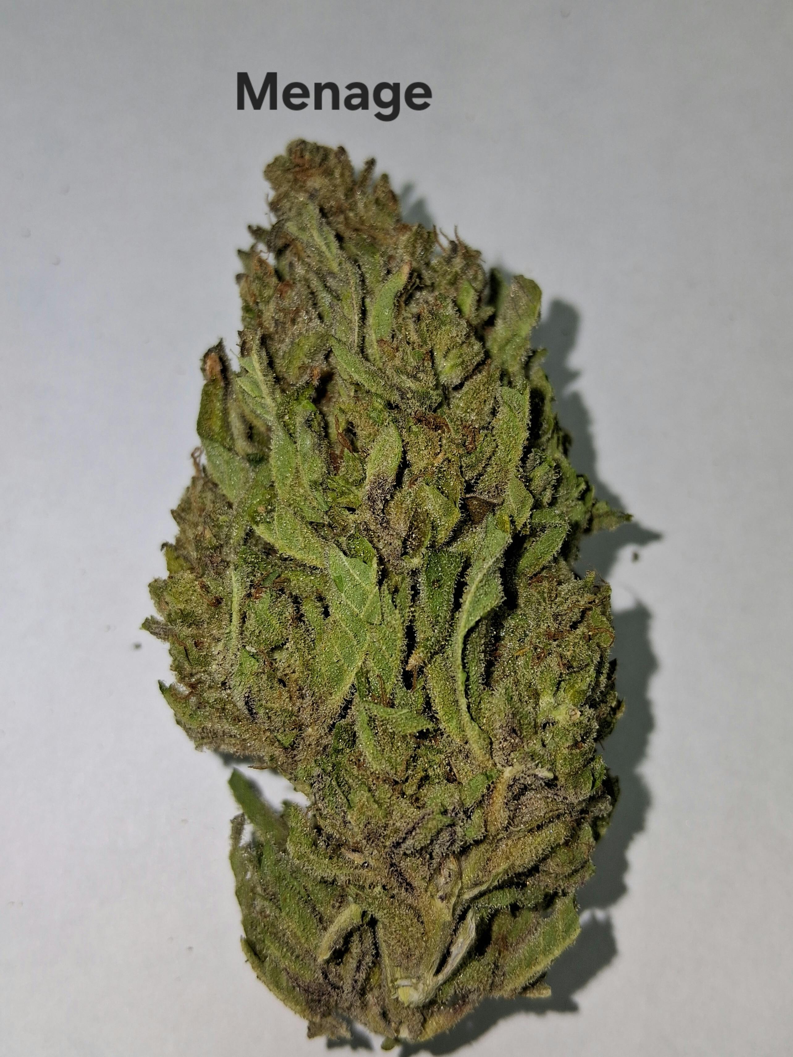 Greenway Farm - Menage Flower - 1