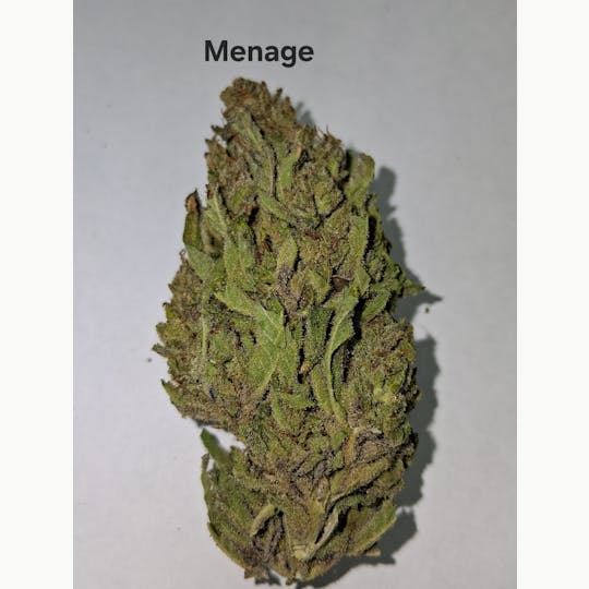 Greenway Farm - Menage Flower - 1