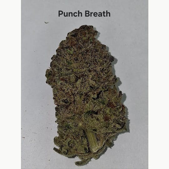 Greenway Farm - Punch Breath Flower - 1