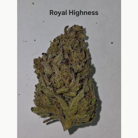 Greenway Farm - Royal Highness Flower - 1