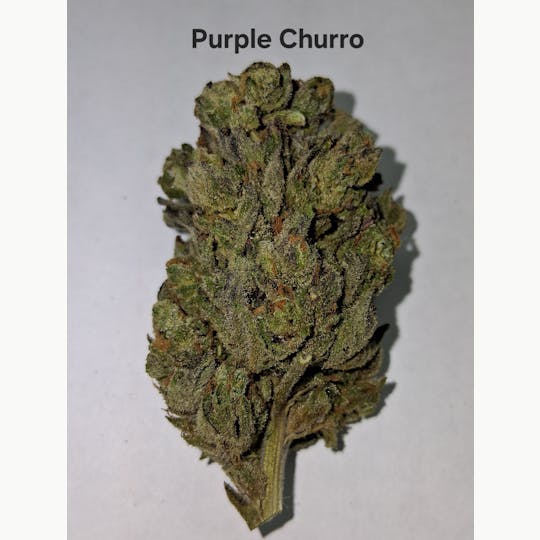 Greenway Farm - Purple Churro Flower - 1