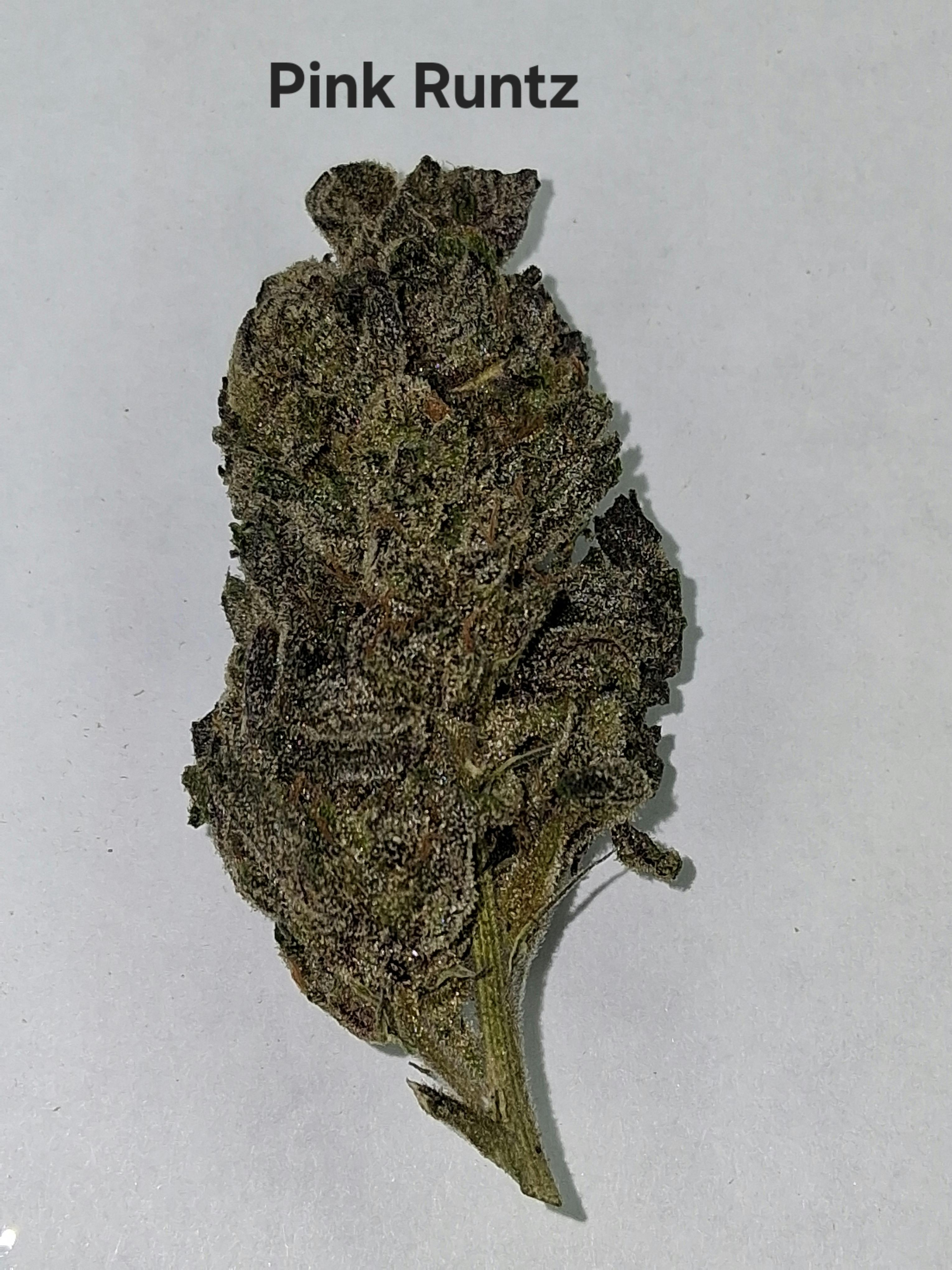 Greenway Farm - Pink Runtz Flower - 1