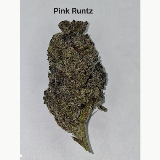 Greenway Farm - Pink Runtz Flower - 1