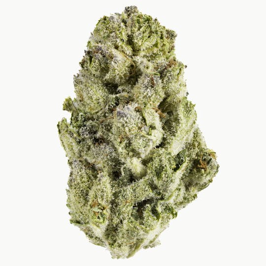 West Coast Cure - Splash - 14G Premium Flower - 1