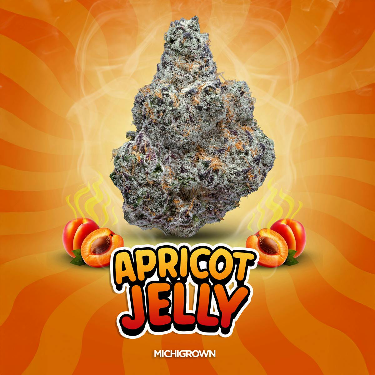 MICHIGROWN - APRICOT JELLY - 3.5 GRAMS - PREMIUM FLOWER - JAR - 1
