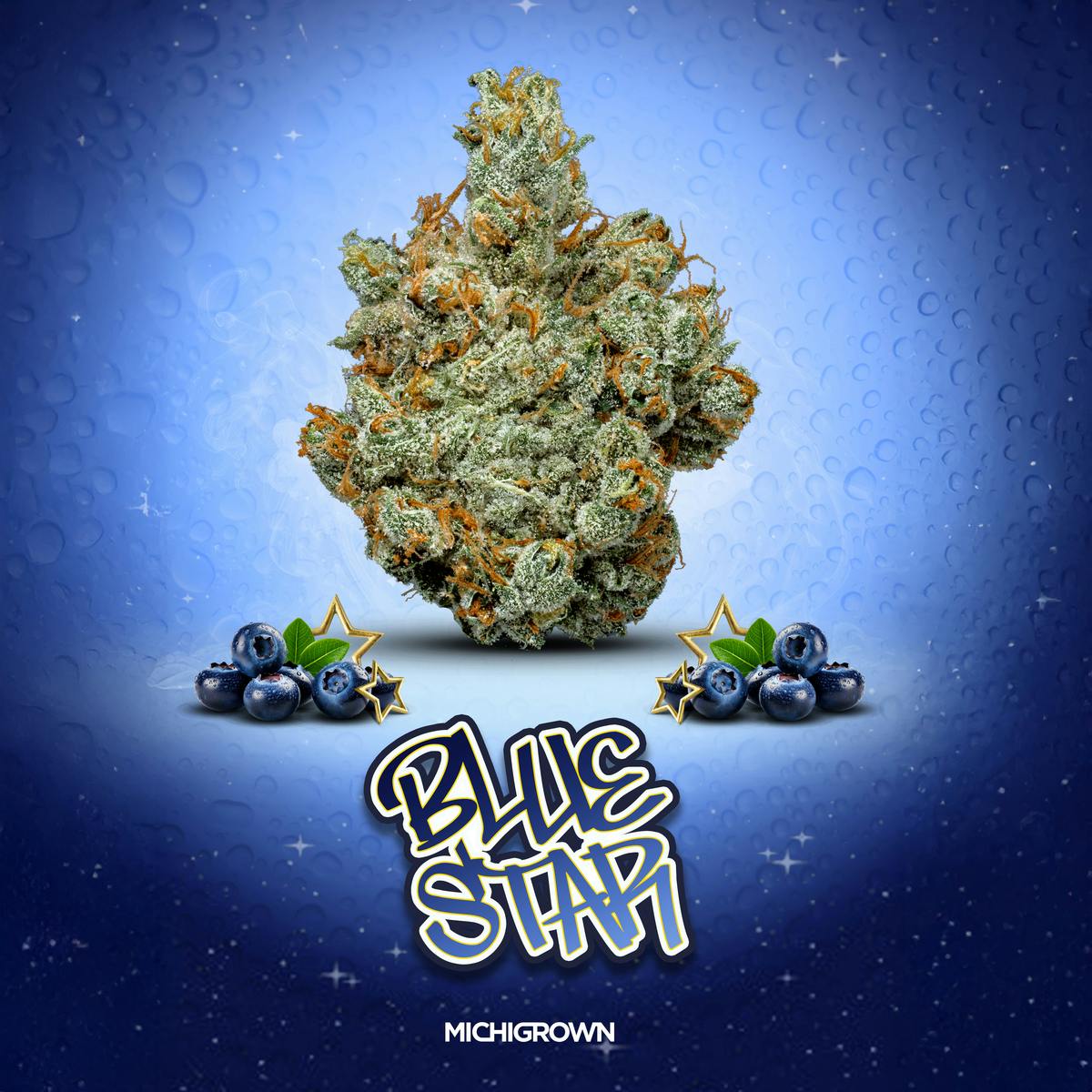 MICHIGROWN - BLUE STAR - 3.5 GRAMS- PREMIUM FLOWER - JAR - 1