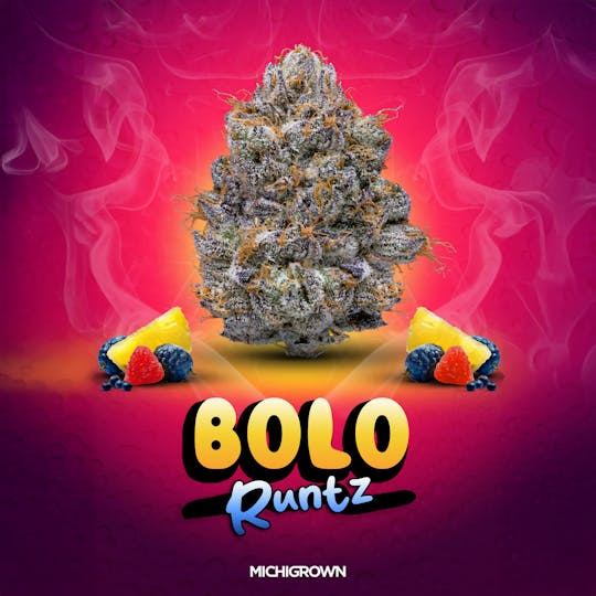 MICHIGROWN - BOLO RUNTZ - 3.5 GRAMS - PREMIUM FLOWER - JARS - 1