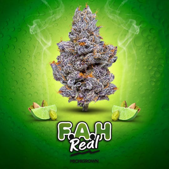 MICHIGROWN - F.A.H. REAL - 3.5 GRAMS - PREMIUM FLOWER - JARS - 1