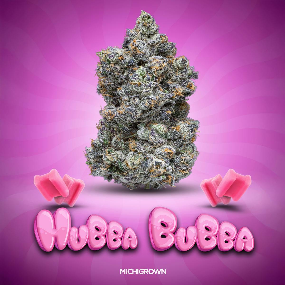 MICHIGROWN - HUBBA BUBBA - 3.5 GRAMS - PREMIUM FLOWER - JAR - 1