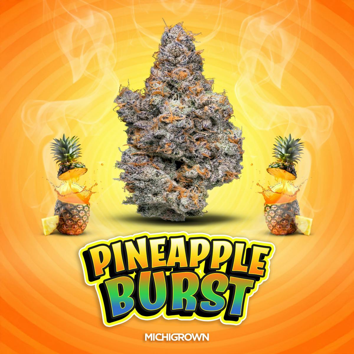 MICHIGROWN - PINEAPPLE BURST - 3.5 GRAMS - PREMIUM FLOWER - JARS - 1