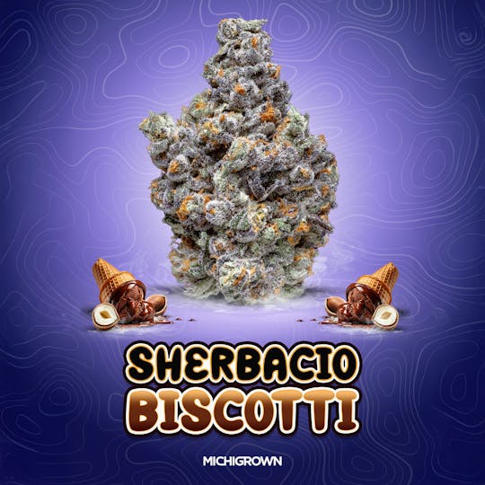 MICHIGROWN - SHERBACIO BISCOTTI - 3.5 GRAMS - PREMIUM FLOWER - JARS - 1
