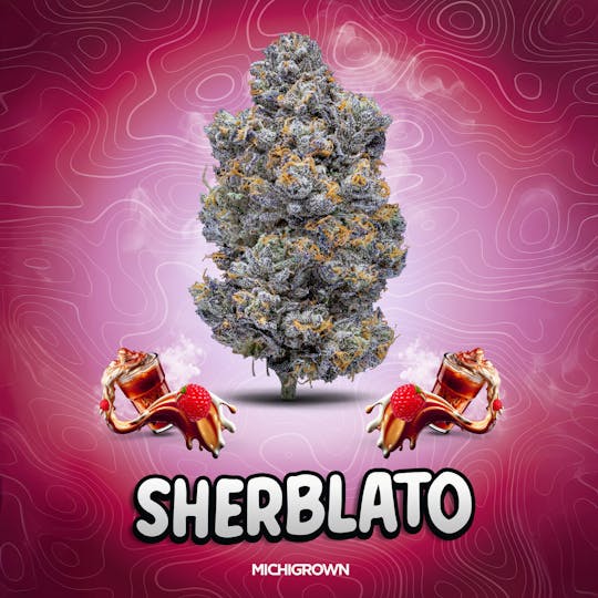 MICHIGROWN - SHERBLATO - 3.5 GRAMS - PREMIUM FLOWER - JARS - 1