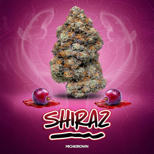 MICHIGROWN - SHIRAZ - 3.5 GRAMS - PREMIUM FLOWER - JARS - 1