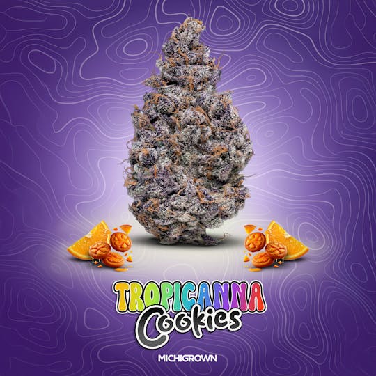 MICHIGROWN - TROPICANNA COOKIES - 3.5 GRAMS - PREMIUM FLOWER - JARS - 1