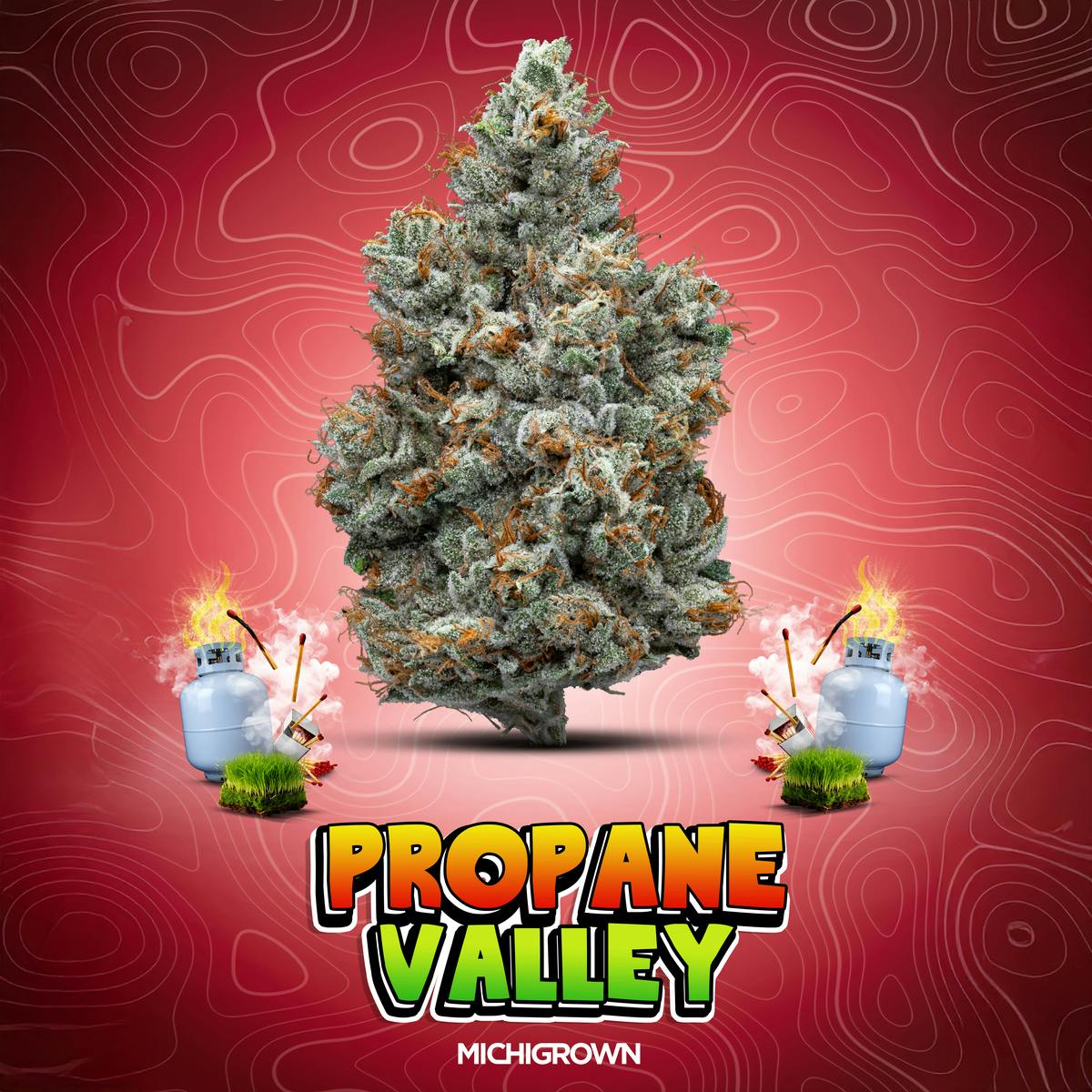 MICHIGROWN - PROPANE VALLEY - 3.5 GRAMS - PREMIUM FLOWER - JARS - 1
