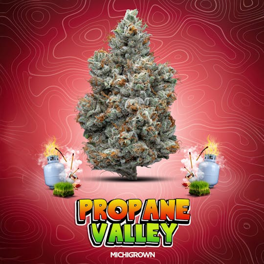 MICHIGROWN - PROPANE VALLEY - 3.5 GRAMS - PREMIUM FLOWER - JARS - 1