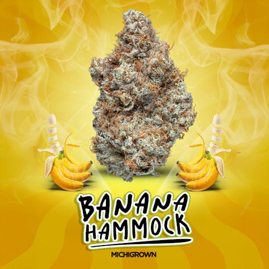 MICHIGROWN - BANANA HAMMOCK - 3.5 GRAMS - PREMIUM FLOWER - JARS - 1