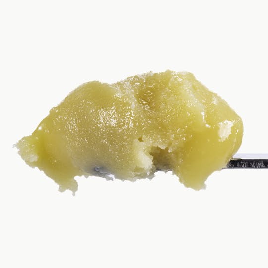 West Coast Cure - LCG x Blueberry Muffin - 1G Live Resin Badder - 1