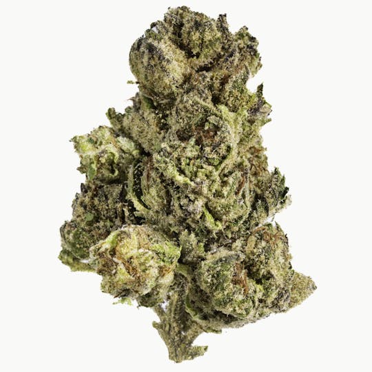 West Coast Cure - Pink Champagne - 14G Premium Flower - 1