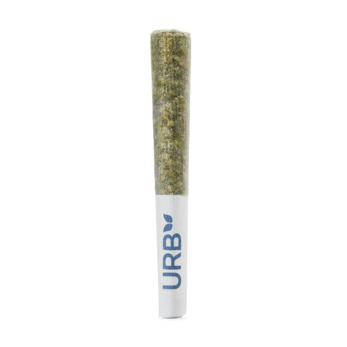 Urb NM - Urb NM | Thin Mintz | Infused Joints | 0.6g each | 5pk - 1