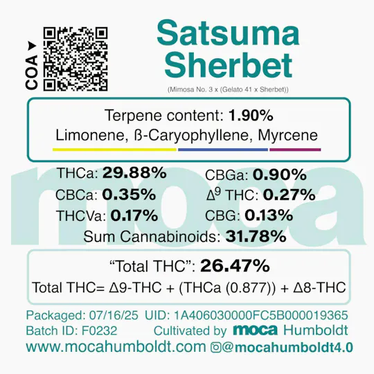 MOCA Humboldt - MOCA Flowers - 1/8th Mylar Bag - Satsuma Sherbet - 1