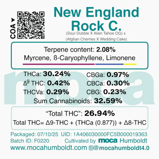 MOCA Humboldt - MOCA Flowers - Smalls 1/4 Bag - New England Rock C. - 1