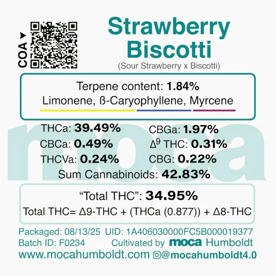 MOCA Humboldt - MOCA Flowers - 1/8th Mylar Bag - Strawberry Biscotti - 1