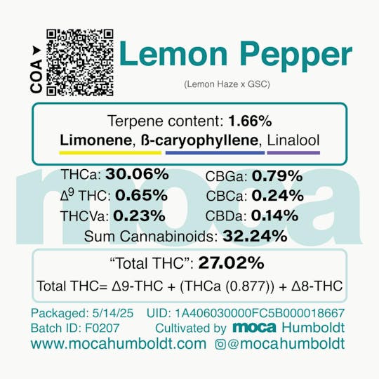 MOCA Humboldt - MOCA Flowers - 1/8th Jar - Lemon Pepper - 1