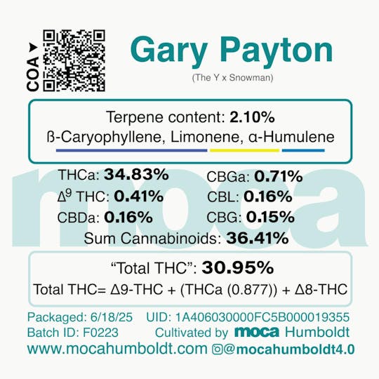 MOCA Humboldt - MOCA Flowers - 1/8th Jar - Gary Payton - 1