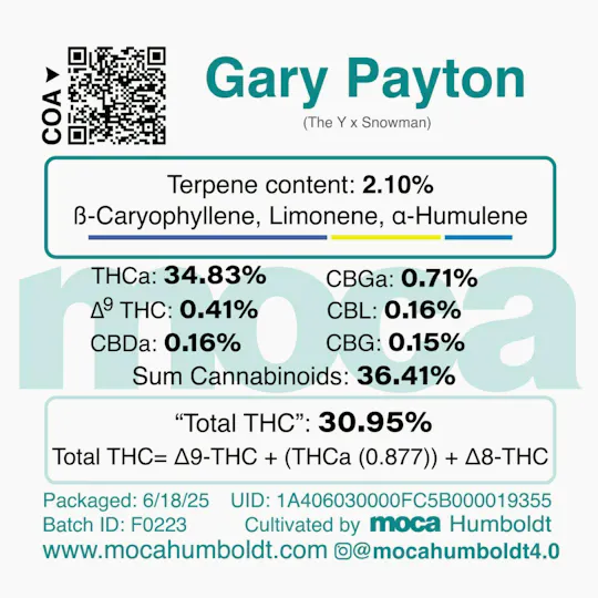 MOCA Humboldt - MOCA Flowers - 1/8th Jar - Gary Payton - 1
