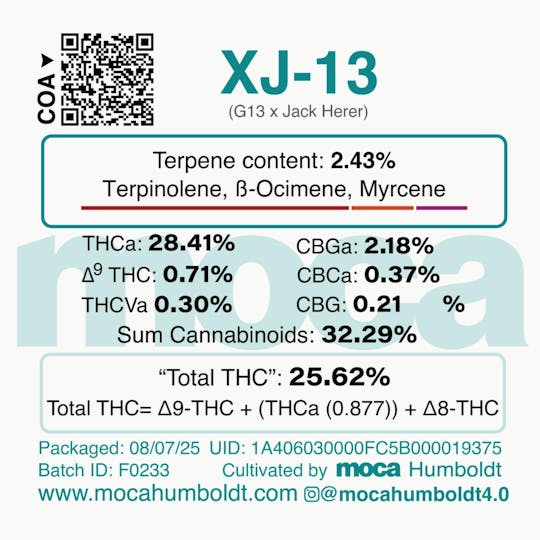 MOCA Humboldt - MOCA Flowers - 1/8th Jar - XJ-13 - 1