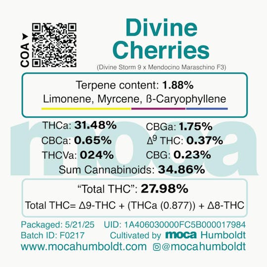 MOCA Humboldt - MOCA Flowers - Smalls 1/4 Bag - Divine Cherries - 1