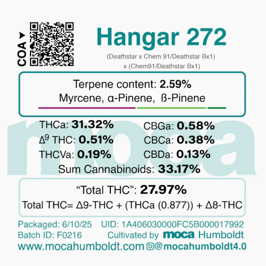 MOCA Humboldt - MOCA Flowers - Smalls 1/4 Bag - Hangar 272 - 1