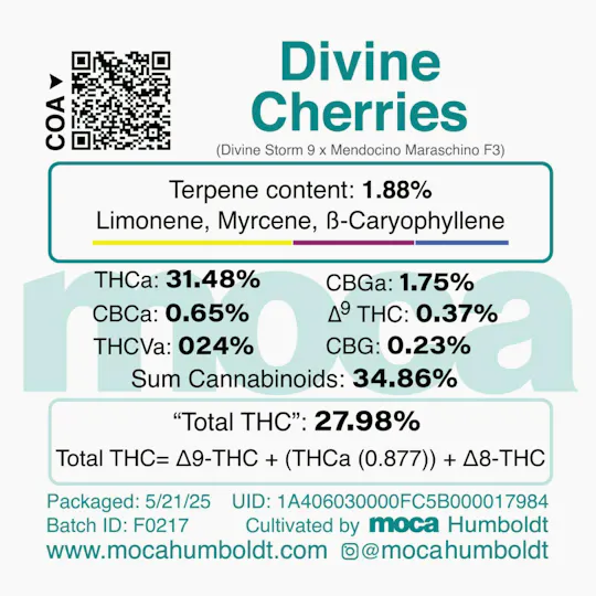 MOCA Humboldt - MOCA Flowers - 1/8th Mylar Bag - Divine Cherries - 1