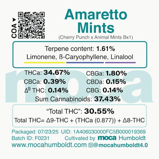 MOCA Humboldt - MOCA Flowers - 1/8th Jar - Amaretto Mints - 1