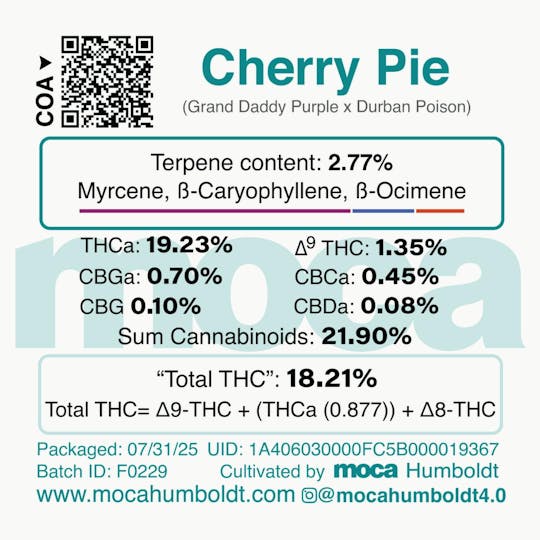 MOCA Humboldt - MOCA Flowers - 1/8th Jar - Cherry Pie - 1